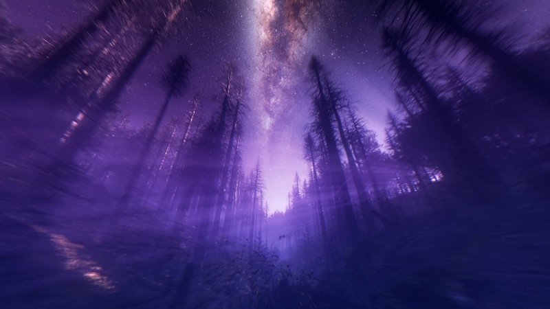 HD, 8k, wallapers, Purple, 4k, 1080P, Wilderness
