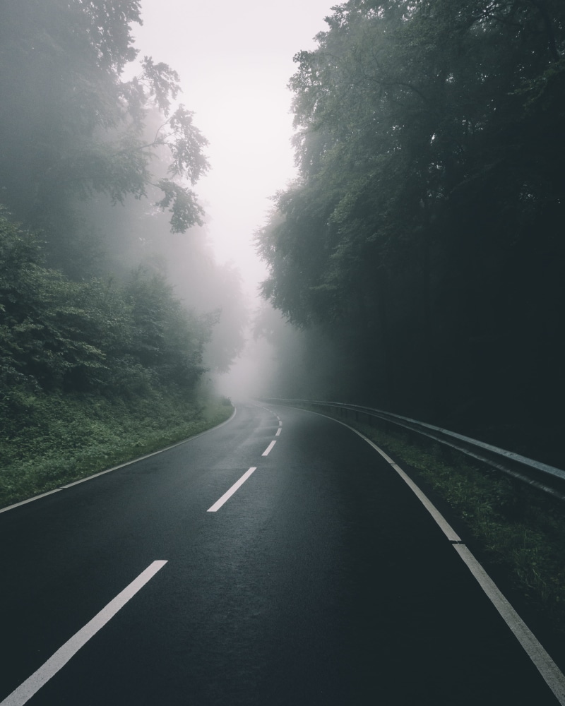 sign, symbol, non-urban scene, the way forward, black, plant, lock screen background, direction, photo, road, day, fog, transportation, nature, diminishing perspective