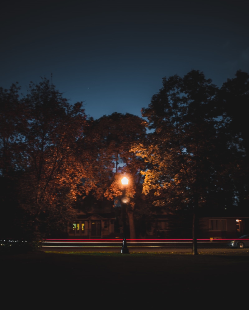 architecture, sky, canada, growth, longexposure, illuminated, no people, city, street light, lightpost, transportation, lighttrail, nature, street, lighting equipment