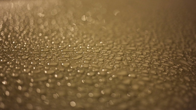 wet, Canon, raindrop, close-up, shadow, Lights, pancake, 2K, field, photography, abstract, liquid, lowlight, 5d, low  light, rain, depth, droplets, drop