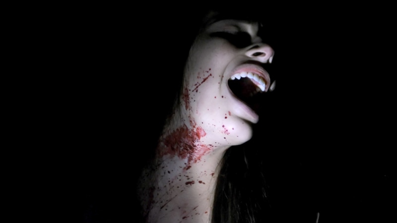 blood, spooky, mouth, shock, nightlight, studio shot, celebration, human blood, aggression, black background, dark, fear, body part, human body part, indoors