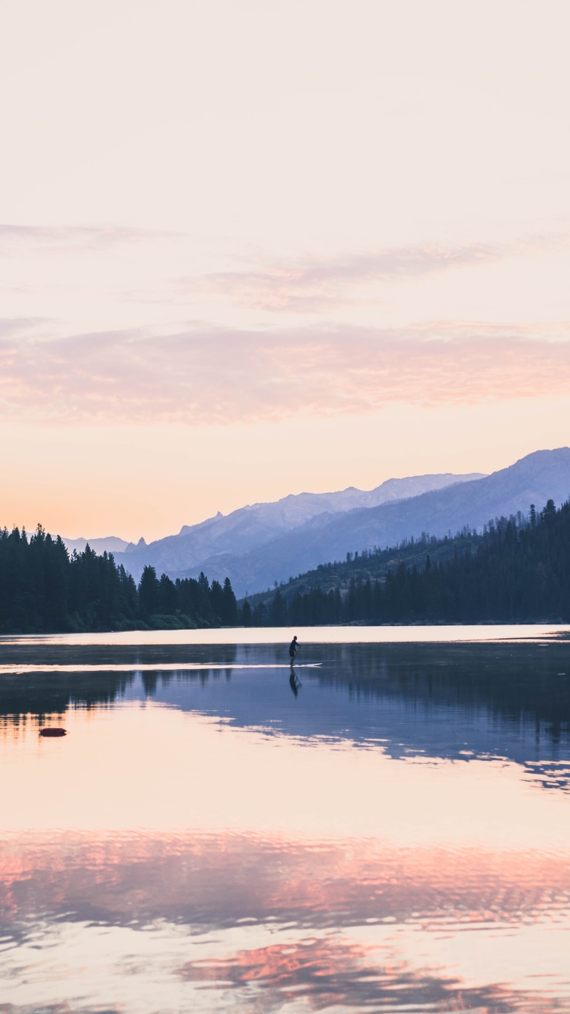forest, backgrounds, 5K, tranquility, scenics - nature, united states, tranquil scene, lake, phone backgrounds, reflection lake, android backgrounds, lock screen background
