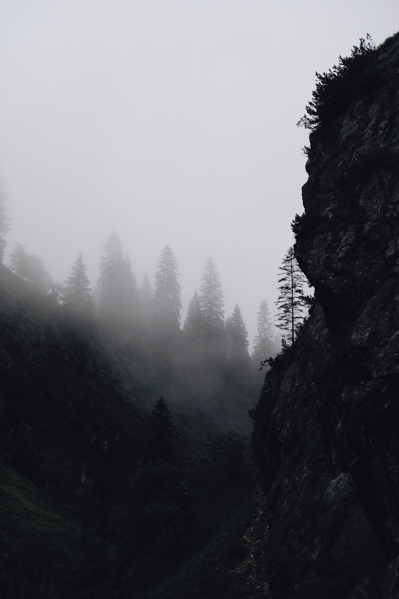 rock - object, sky, no people, cloud, non-urban scene, beauty in nature, tranquility, nature, mountain, tree, iphone, fog, forest, plant, cliff