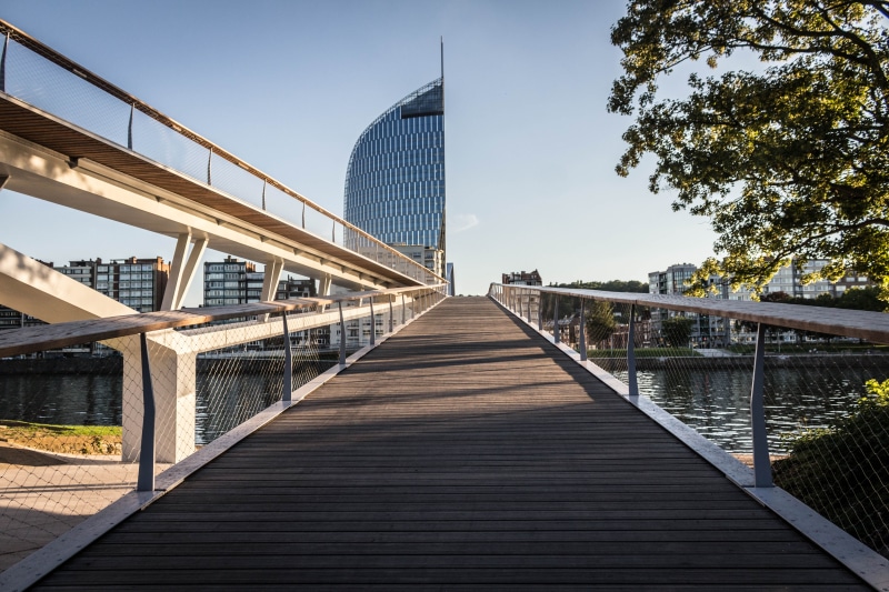 travel, direction, architecture, tree, city, park, green, parc de la boverie, built structure, nature, transportation, urban, europe, sky, liège, the way forward