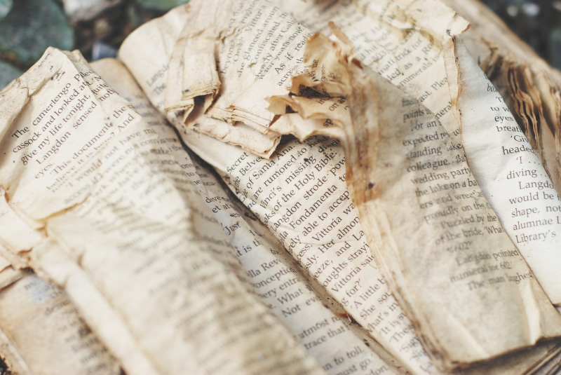 high angle view, decay, urbex, ripped, close-up, paper, religion, page, blogger, communication, sheet, leaf, book, derelict, read, open, still life, pages