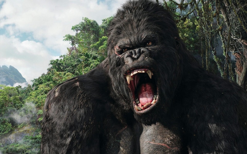 kong, 1080P, king, movies