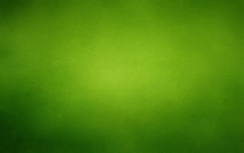full frame, clean, nature, studio shot, empty, blank, close-up, paper, material, copy Space, indoors, abstract backgrounds, design, green Background, green Color