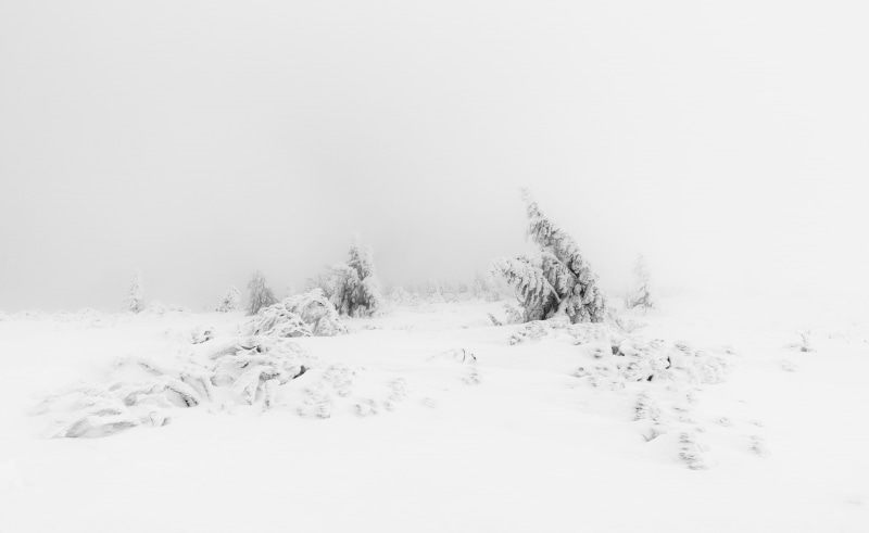 Nature, Monochrome, Decembre, Haze, Simple, Frozen, Summit, blackandwhite, fog, Silver Efex Pro 2, nikon, aesthetic, black and white, Hautes Vosges, Foggy