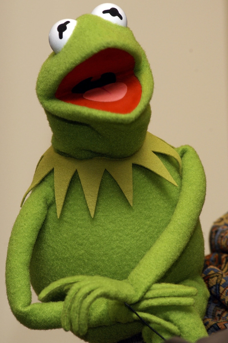 Kermit the Frog, frog, frogs, art, animals, hd, kermit, 2K