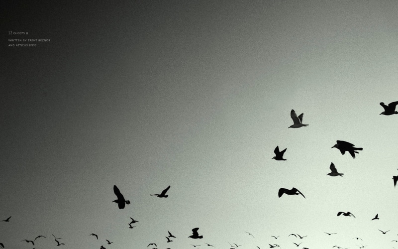 inch, bird, nine, music, flocks, hd, 1080P, nails