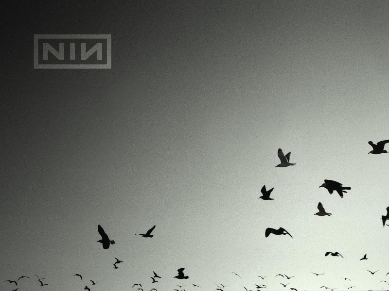 720P, sillouette, nails, birds, inch, fluck, music, nine, migrating, photo, hd