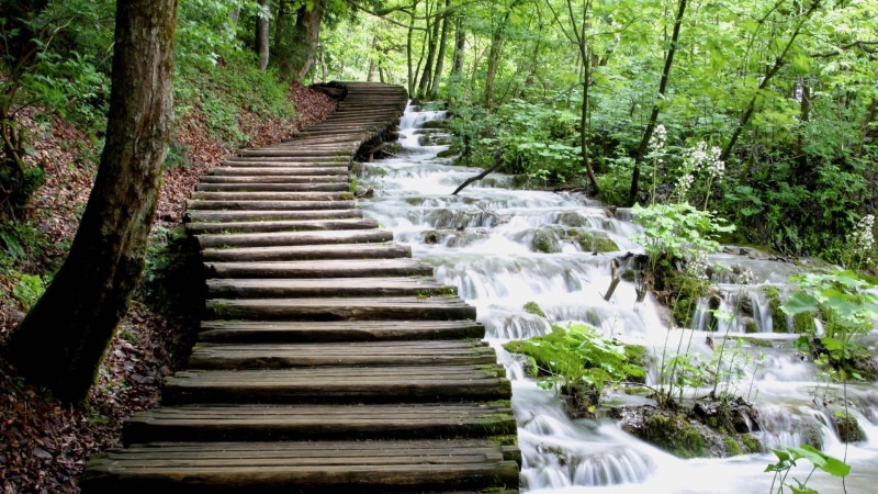 wood - material, nature, direction, Croatia, growth, 1080P, plant, stairs, concrete, tree, river, scenics - nature, day, tranquility, motion, forest, the way forward