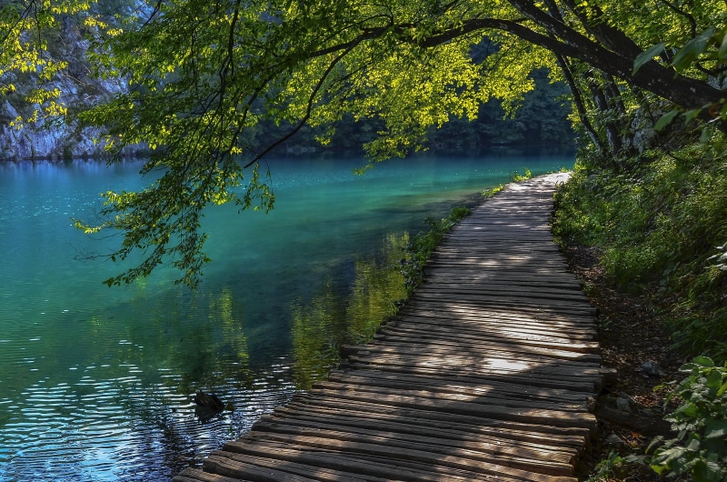 green, trees, river, paradise, croatia, blue, heaven, nature, water, beautiful, magic, nice, 1080P
