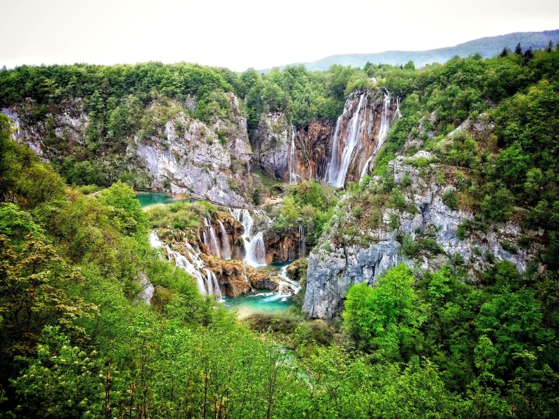 Nature, rock - object, tree, environment, green color, growth, croatia, flowing water, forest, 4K, beauty in nature, no people, land, plitvice lakes national park