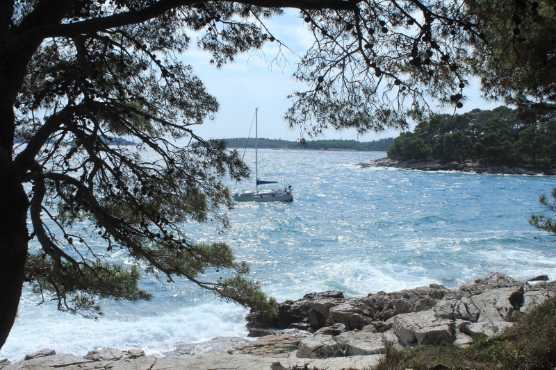 tree, no people, water, scenics - nature, tranquility, day, sky, nautical vessel, nature, transportation, beauty in nature, sea, mode of transportation