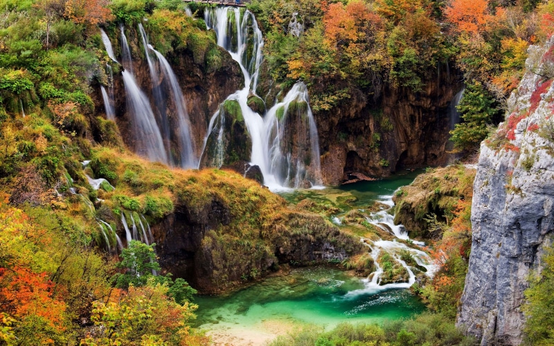 waterfall, falling water, power in nature, desktop, national, rock, non-urban scene, blurred motion, autumn, plitvice, tree, rainforest, croatia