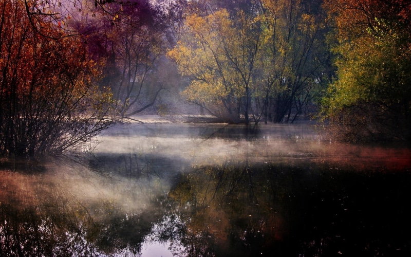 yellow, rural Scene, river, season, lake, beauty In Nature, colorful, tree, orange Color, non-Urban Scene, daytime, outdoors, vibrant Color, sky, scenics - nature