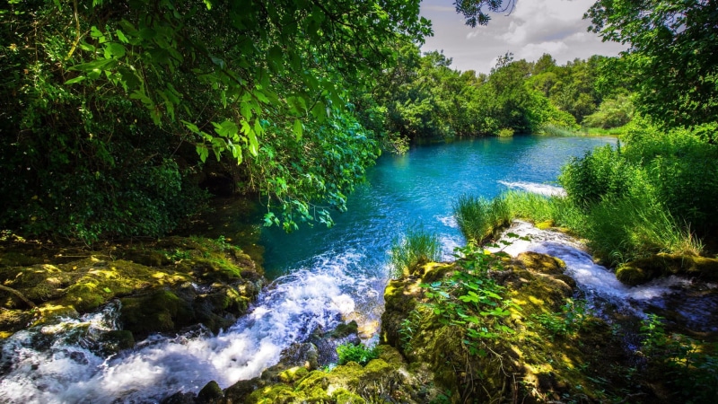 krka national park, tranquil scene, day, beauty in nature, motion, water, non-urban scene, power in nature, tranquility, land, green color, growth, scenics - nature