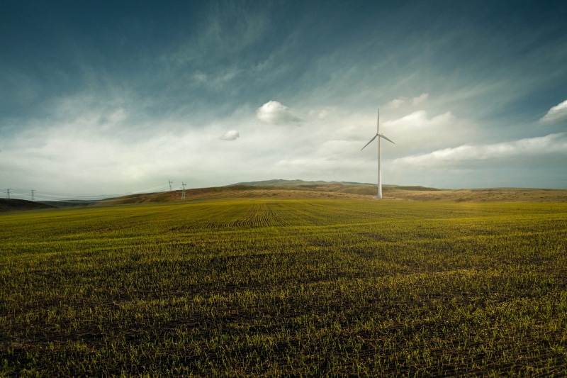 environmental protection, plant, alternative energy, wind turbine, energy, turbine, sky, agriculture, cloud - sky, fuel and power generation, current, environmental conservation