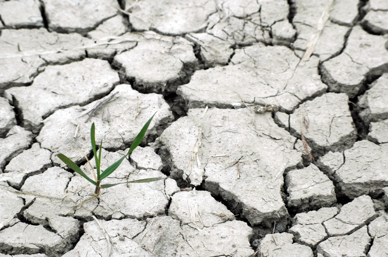 outdoors, climate, green, barren, we, Responsibility, live, earth, climate change, conservation, land, backgrounds, high angle view, plant, protection
