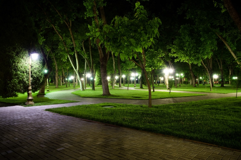 street, illuminated, tree, green, grass, outdoors, night, footpath, green color, beauty in nature, nature, plant, leafed, park - man made space, lot, land
