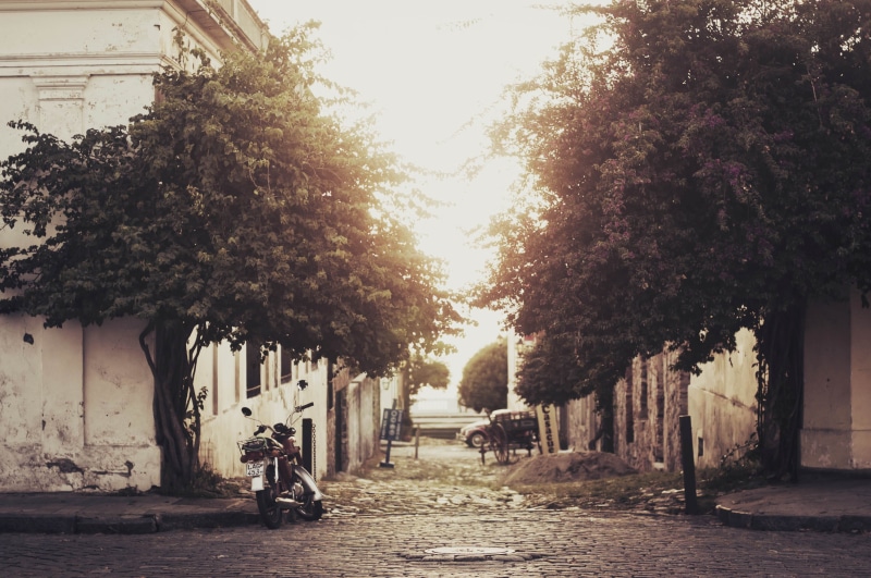vintage, real people, building exterior, growth, city, daytime, road, plant, treelined, built structure, black, village alley, transportation, park, buildings