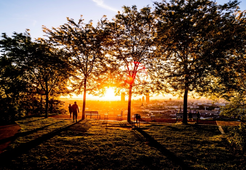 city, shadow, people, view, man, real people, sun, nature, tree, light, sunlight, near, park - Man Made Space, hour, men, change, leisure activity, tranquil scene