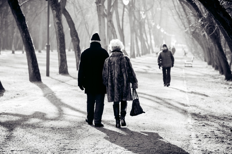 mature, couple walking, nature, senior couple, snow, men, winter, grayscale, man, people, real people, holding, walking, outdoors, group of people, trees