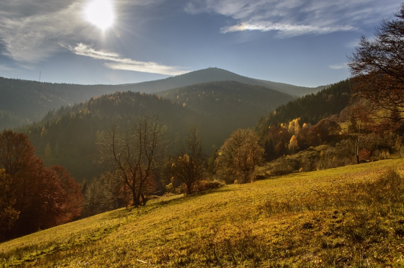 outdoors, scenery, mystery, wild, red, apuseni, foliage, sunrise, walk, meadow, park, field, change, 4K, sunset, tranquil scene, yellow, beauty In Nature