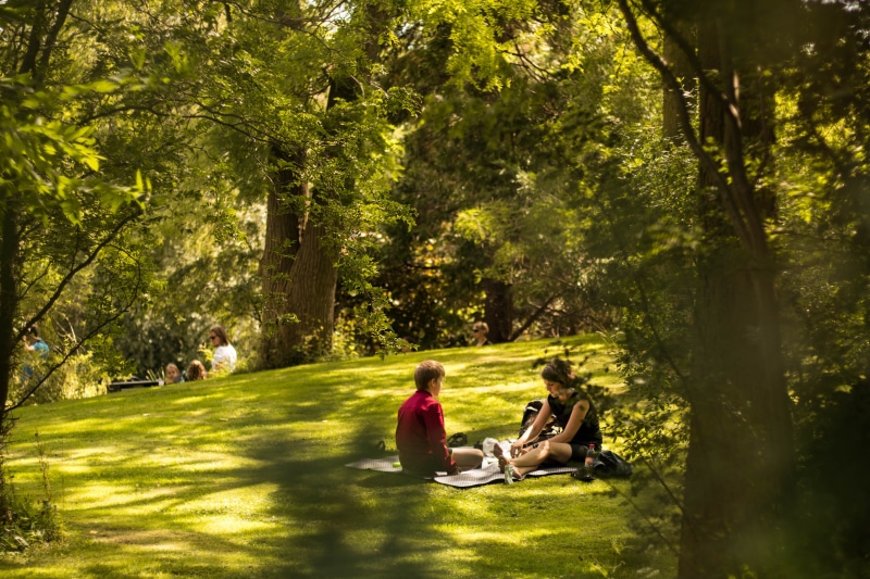 summer, couple - relationship, bonding, daytime, scenic, forest, plant, heterosexual couple, blue, natural, surrounded, sun, happy, positive emotion, green color