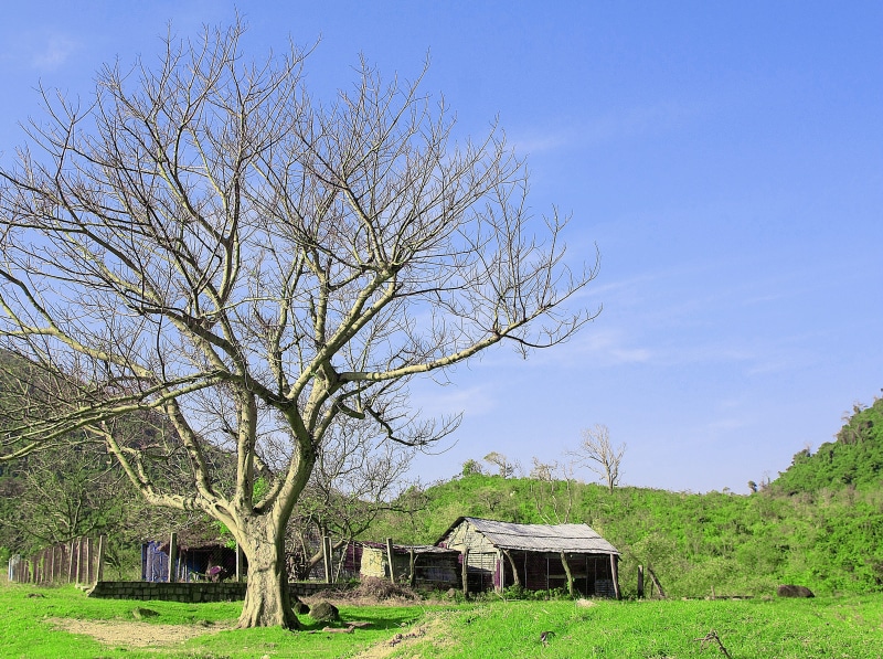 wood, no People, village, scene, sunrise, scenery, 2K, residential district, summer, abandoned, composite, barn, beautiful landscape, countryside, evening