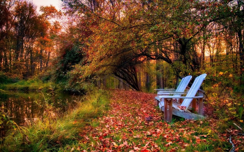 photography, video, 1920x1200 px, pond, nature, hd, x, war, games, leaves, px, Landscape, 1080P, colorful, god, path, art, bench, Trees, fall, park