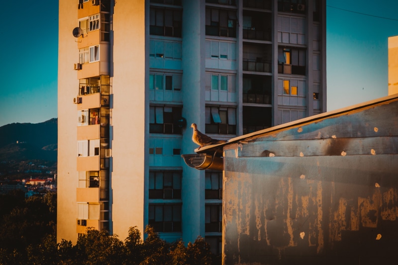 sunlight, water, outdoors, nature, day, building exterior, house, sky, apartment, building, residential district, croatia, architecture, illuminated, city
