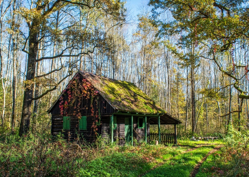 mlaka, houses, parks, 2K, moss, trees, zagreb, crna, croatia, grass, nature