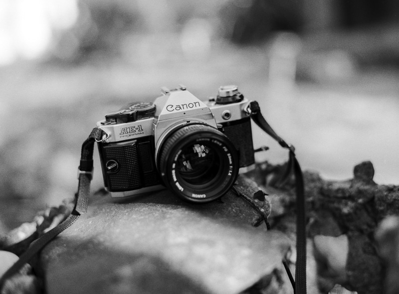 camera, nostalgia, photographic, fun, old, close-up, photography themes, photographer, history, picture, equipment, nature, lens - optical instrument, no people