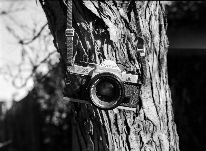 no people, close-up, textured, finance, shutter, camera, style, nostalgia, vintage, lens, computer, old, tree trunk, black, electronics, analog, obsolete