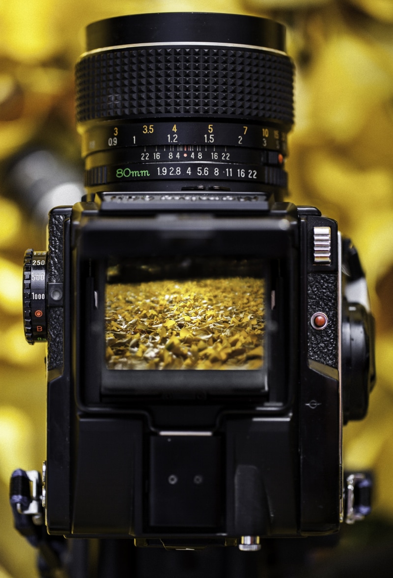 outdoors, branch, exposure, obsolete, photography, nature, aperture, season, lens - optical instrument, old, close-up, activity, text, photographer, classic