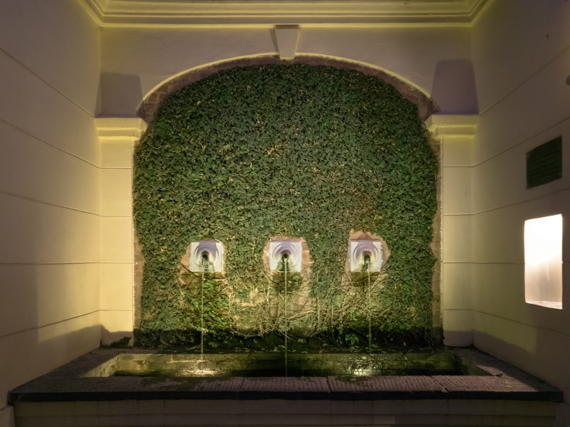 oneplus, architecture, illuminated, flooring, hedge, nature, green, shaouraav, text, decor, no people, built structure, wall - building feature, flow, nepal
