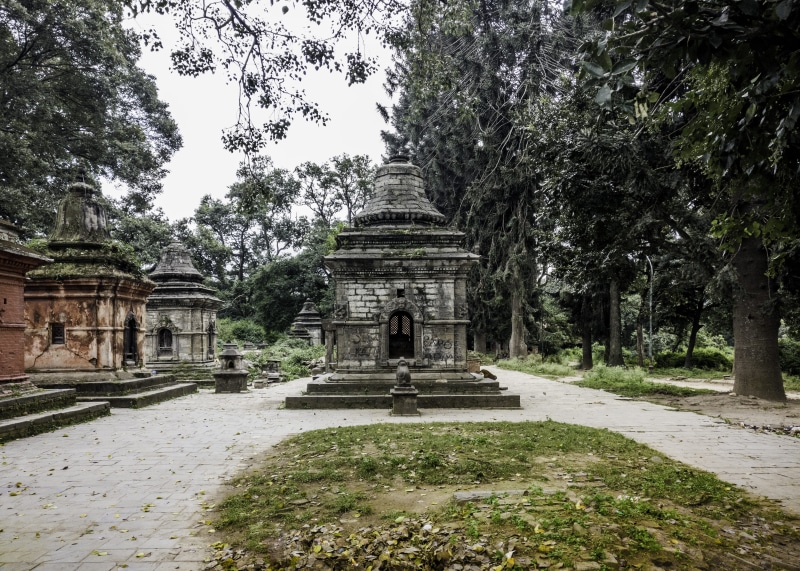 belief, deterioration, pashupatinath, ruined, pashupati, archaeology, s3, tree, no people, outdoors, autumn, hindu, religion, travel, architecture, spirituality