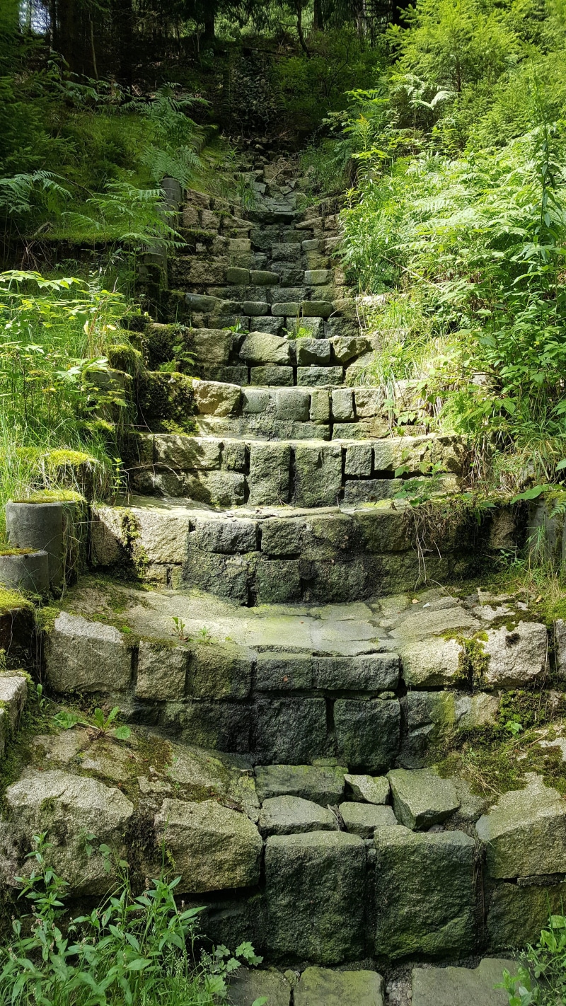 forest, Stone, direction, stone - Object, rise, Stairs, built structure, Hiking, stone wall, tree, rock, outdoors, steps and staircases, gradually, green