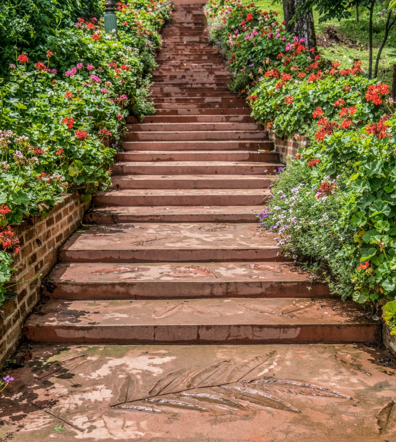 landscape, steps and staircases, chiang mai, day, garden, stairs, solid, growth, the way forward, staircase, flower, footpath, steps, travel destinations