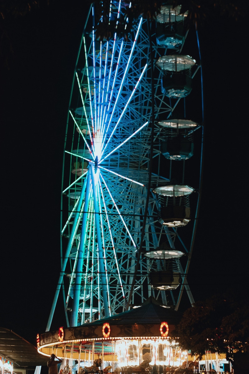black, lupin, blossom, lighting, 4K, transportation, vehicle, iris, low angle view, kiosk, human, night, theme park, city, amusement park, boat, plant