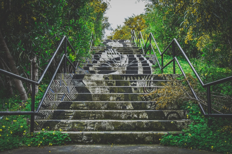 urban, green color, growth, built structure, staircase, low angle view, tree, railing, day, park, cyprus, steps and staircases, grungy, abandoned, outdoors