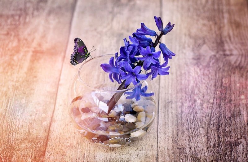 indoors, inflorescence, nature, Flowers, glass - material, Wood, 1080P, Flower, fragrantflower, freshness, Decorative, table, Glass, beauty in nature