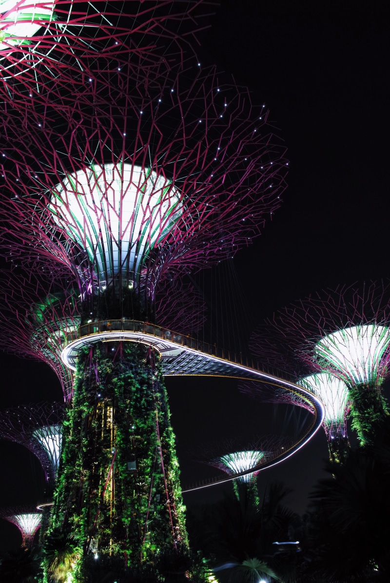 motion, long exposure, arts culture and entertainment, 4K, tree top walk, bay, garden, tree, no people, plant, light, sky, travel destinations, low angle view