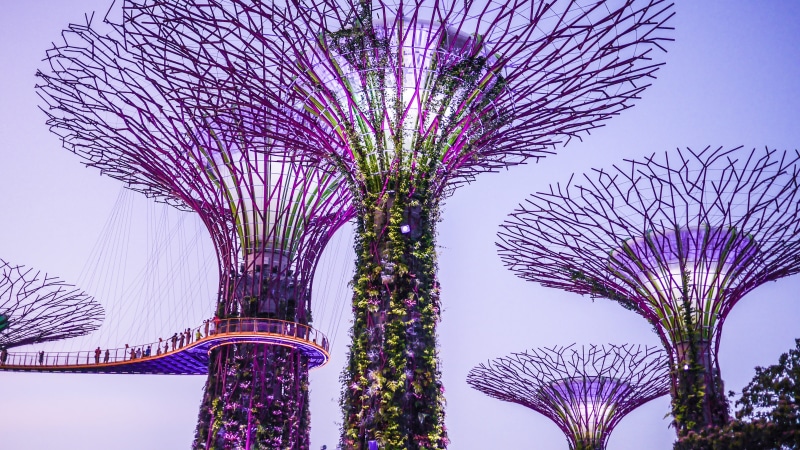 Singapore, purple, architecture, travel destinations, tree, gardens, ornamental garden, no people, plant, building exterior, flowering plant, supertrees