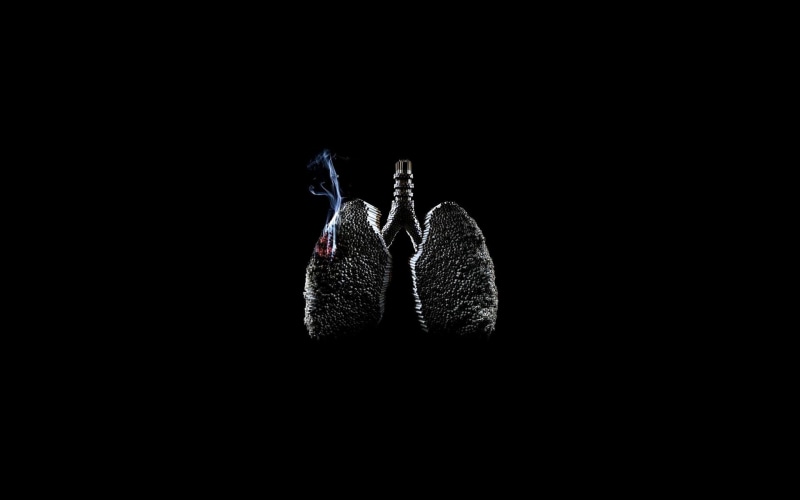 TOBACCO, night, no people, animal wildlife, CERVI, dark, animal themes, 1080P, animal wing, SMOKE, vertebrate, BACKGROUND, pair, studio shot, SMOKER, people