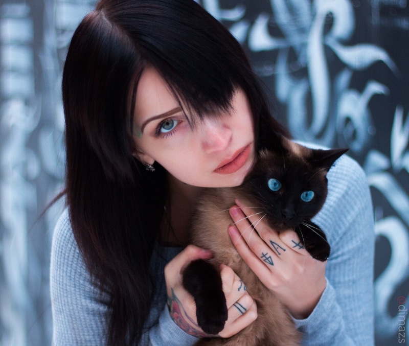 Dim Khokhlov, cat, animals, face, model, women, 720P, blue eyes