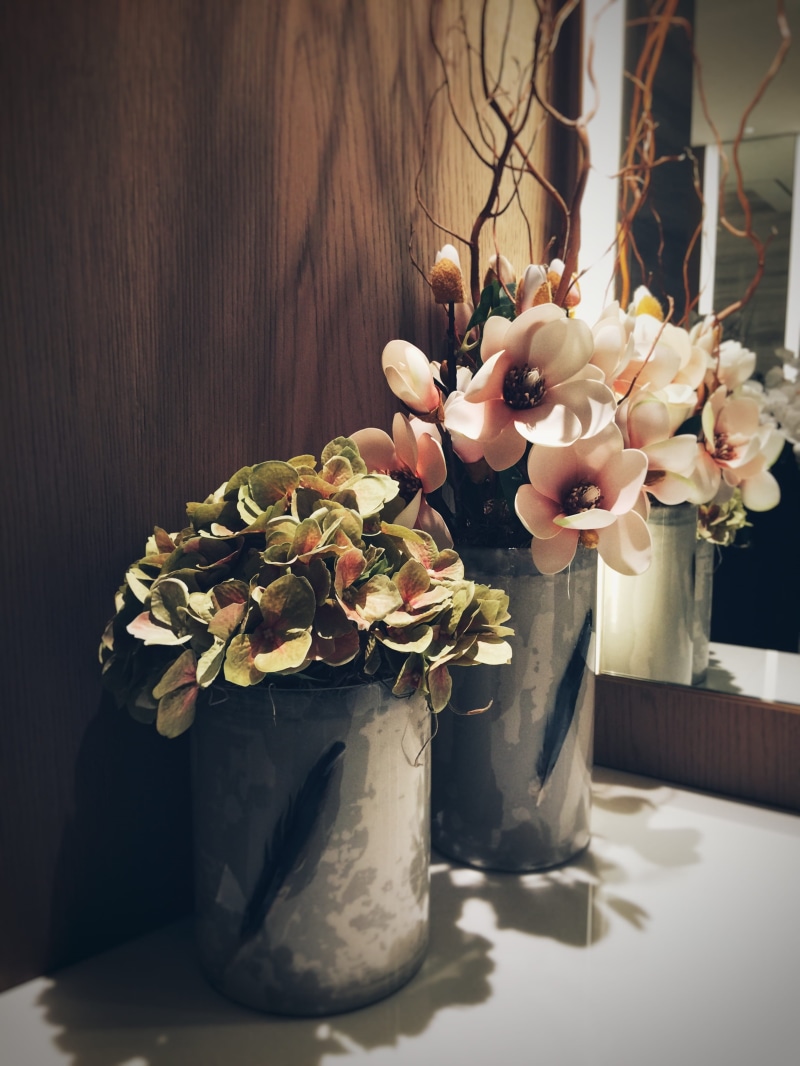 flower head, still life, plants, 2K, bloom, decoration, Dubai, freshness, flowerpots, beauty in nature, shadow, flowers, vulnerability, petals