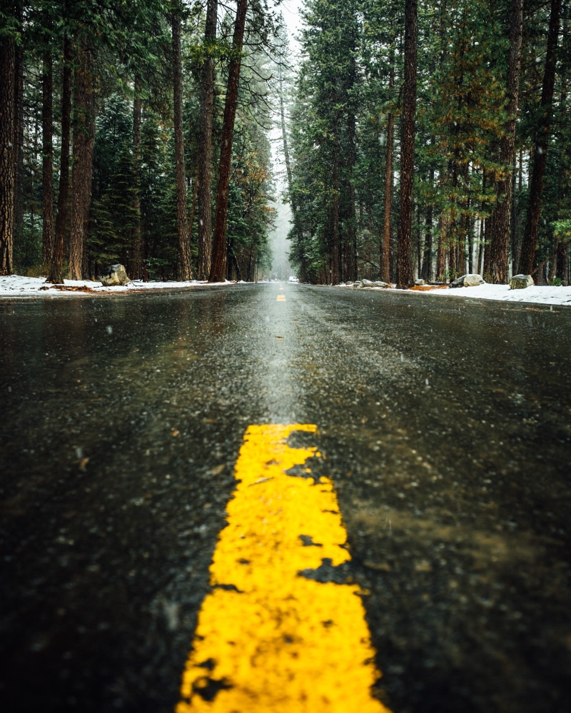 black, concrete, tree, double yellow line, the way forward, pine tree, yellow line, transportation, sign, surface level, direction, no people, plant, snow